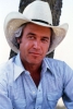Dallas (2012) | Dallas (1978) biographie de Steve Kanaly 
