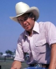 Dallas (2012) | Dallas (1978) Ray Krebbs - 1978 : personnage de la srie 