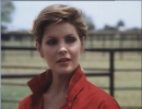 Dallas (2012) | Dallas (1978) Jenna Wade Krebbs : personnage de la srie 